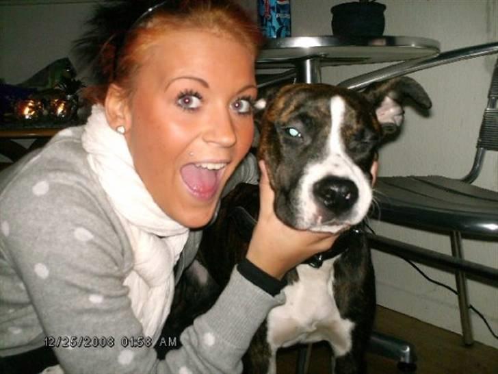 Amerikansk staffordshire terrier Nala - michelle og nala :) billede 16