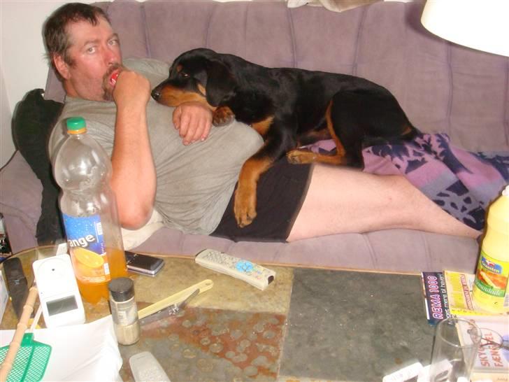 Rottweiler Bertram - Snakker lige med far det er bare så dejligt billede 7
