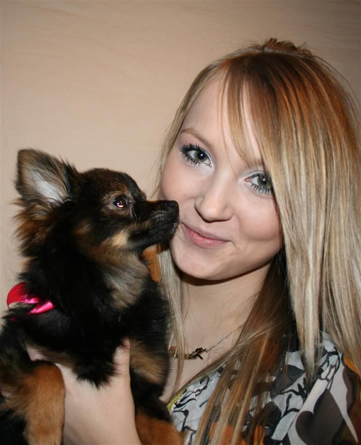 Kleinspitz Suki - Mig og min ejer billede 6