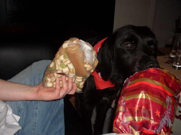 Blanding af racer Kenzo (Død) - Her for jeg en af mine julegaver :) billede 12