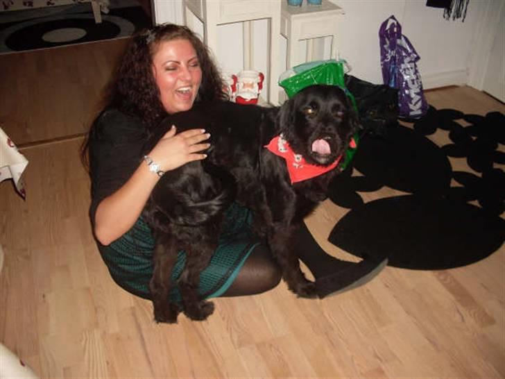 Blanding af racer Kenzo (Død) - Her driller jeg min fars lillesøster, det var sjovt. billede 15