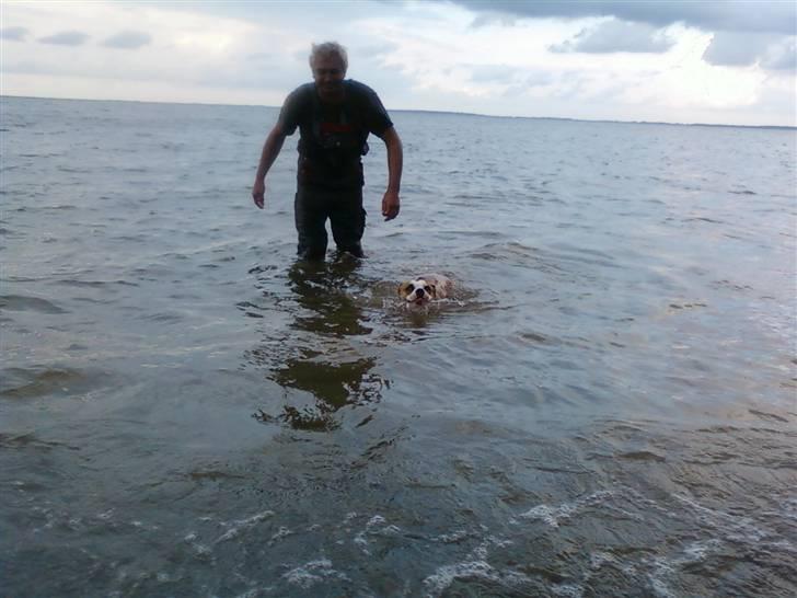 Blanding af racer Tulle - tulle og morfar ude og bade :D billede 5