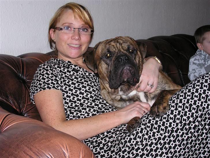 Olde victorian bulldogge waldemar billede 9