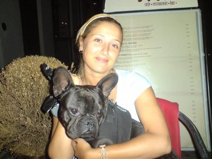 Fransk bulldog Tarzan - Tarzan 8 mrd. og med på café... billede 14