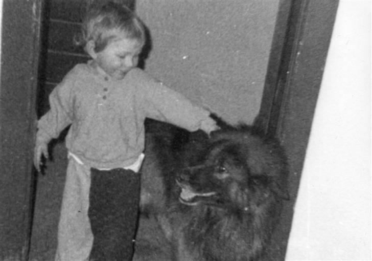 Schæferhund Bjørn *R.I.P* billede 18