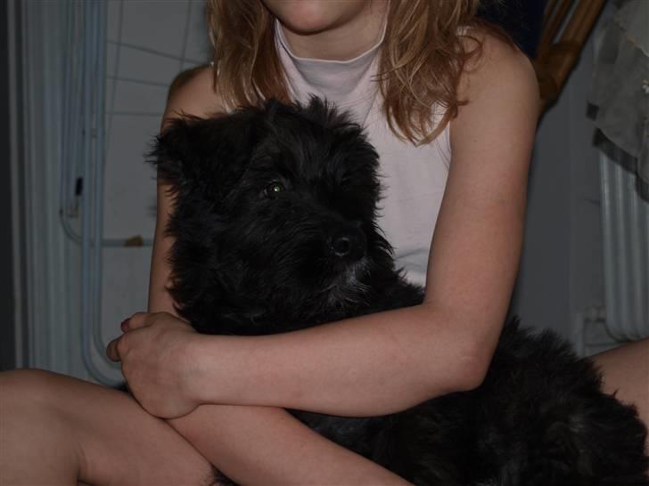 Blanding af racer Buch :D - Buch & Kira Jensen ( Miiq ) Buch Laver sit ´ Flirte Charmetrold Buch Blik :D ´  billede 6