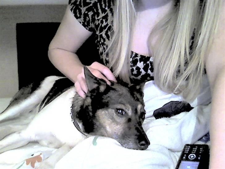 Blanding af racer nuser - mig og Natascha.. billede 11