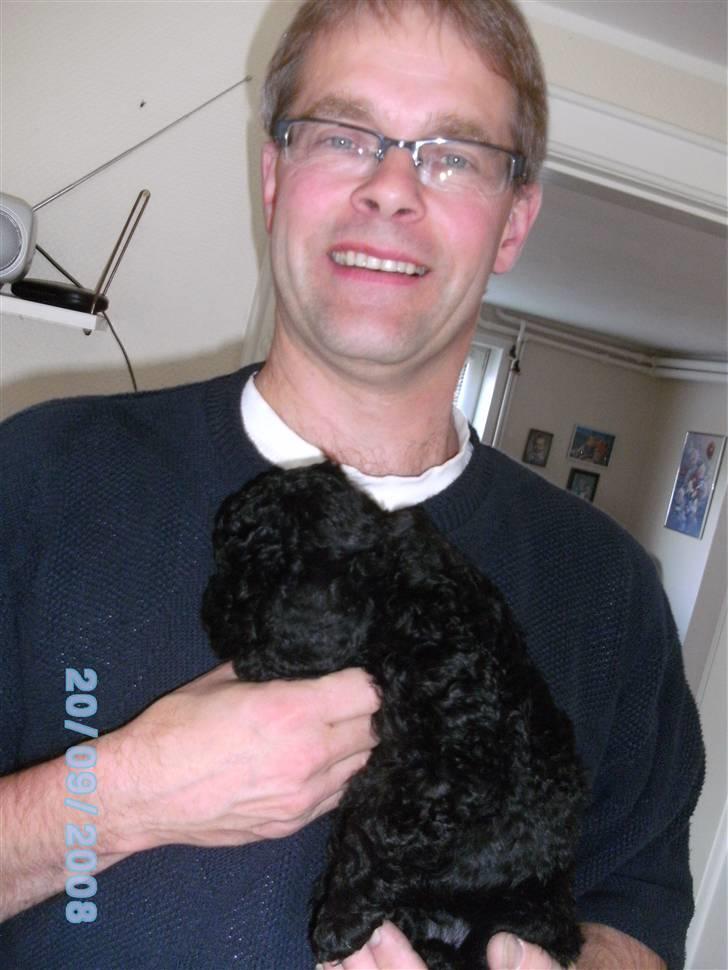 Mellempuddel Fifi - Min far med Fifi billede 8