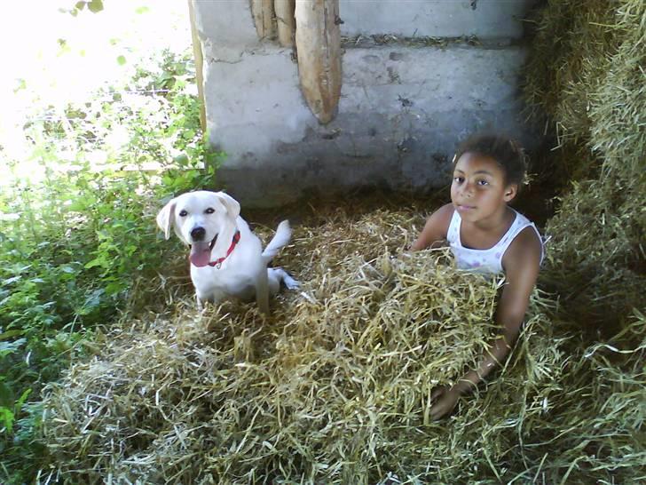 Blanding af racer wiwi billede 2