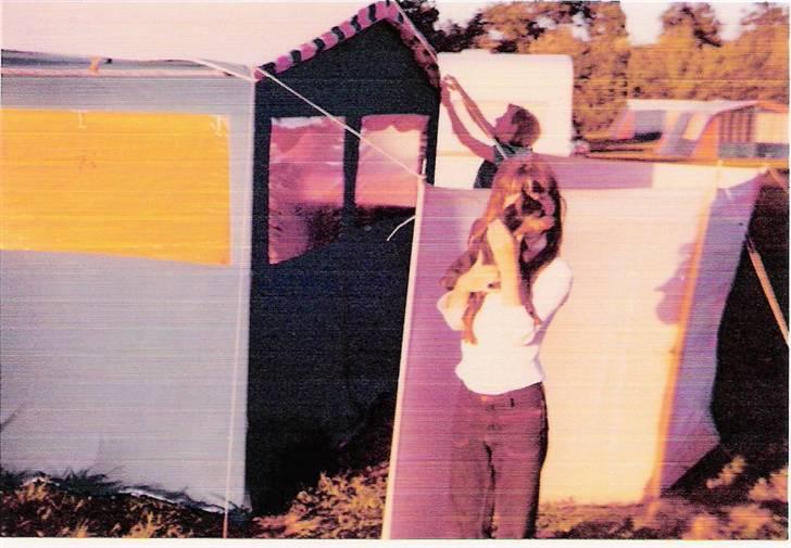 Dvaergpinscher pjevs  - på camping billede 8