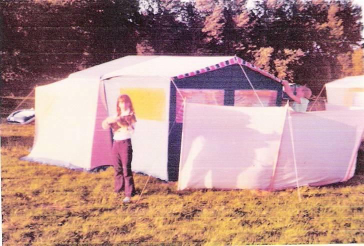 Dvaergpinscher pjevs  billede 9