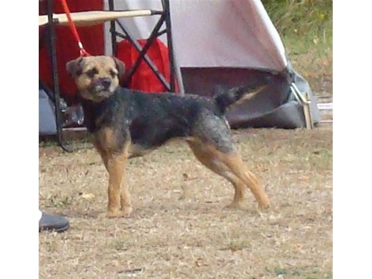 {{currentPhoto.altText}} billede {{currentPhoto.number}}