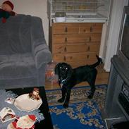 Blanding af racer tasion