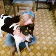 Dansk svensk gaardhund futte<3