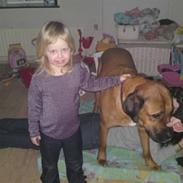 Blanding af racer Pumba  R.I.P 