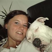 Amerikansk staffordshire terrier Lilly