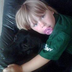 Blanding af racer sofus