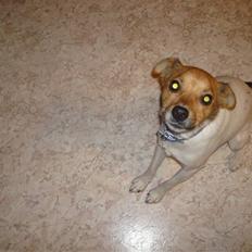 Blanding af racer Buster<3