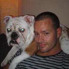 Engelsk bulldog Bobbie