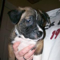 Blanding af racer sido