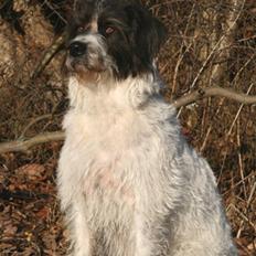 Blanding af racer Mille