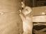 Blanding af racer  ¤Frigg¤ bordtgivet!! - zzzzzzzzzz<3......
