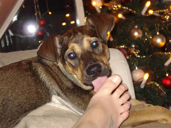 Blanding af racer Luca - Det smager nu meget godt, men mor var ikke tilfreds med det.. :) billede 12