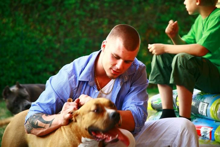 Blanding af racer Dollar billede 4