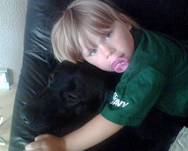 Blanding af racer sofus - skønt at putte med den mindste søs billede 3