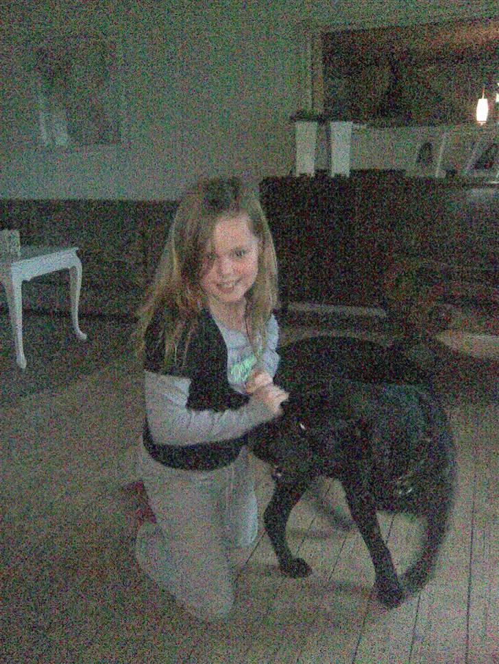 Blanding af racer sofus - leger lige med søs billede 6