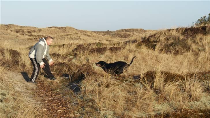 Rottweiler Chantie - "Farlig" leg :O) billede 18