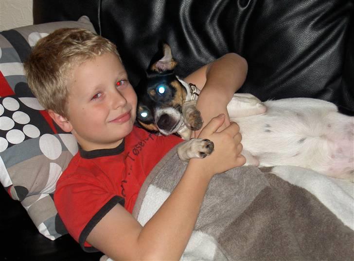 Dansk svensk gaardhund Fie - Andreas og Fie.. billede 5