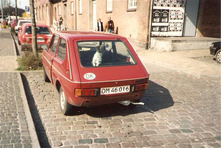 Blanding af racer Pjuske *R.I.P* - Hvor bliver min mor dog af ?? billede 4