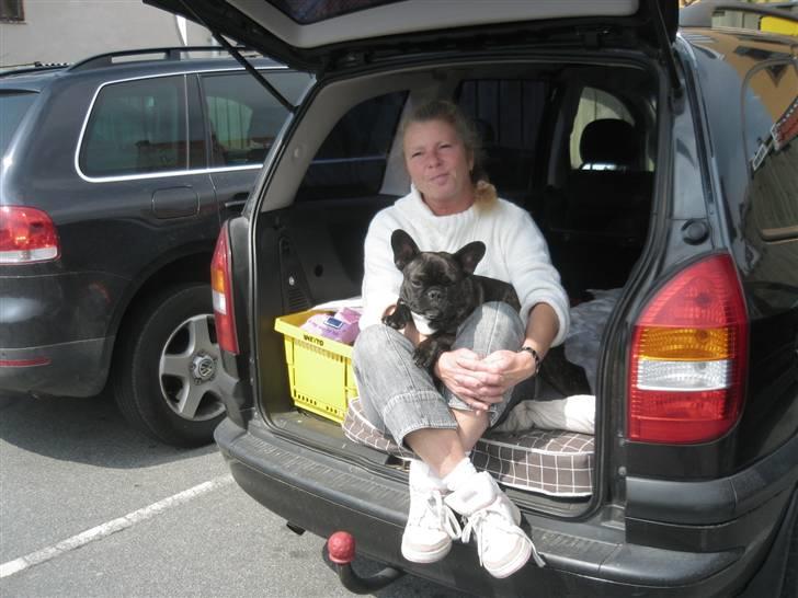 Fransk bulldog Robert2 - Mig (6 mdr) & min mor og hun er altså meget ung :-) Læg lige mærke til at HELE bilen er redt op til mig :-) billede 16