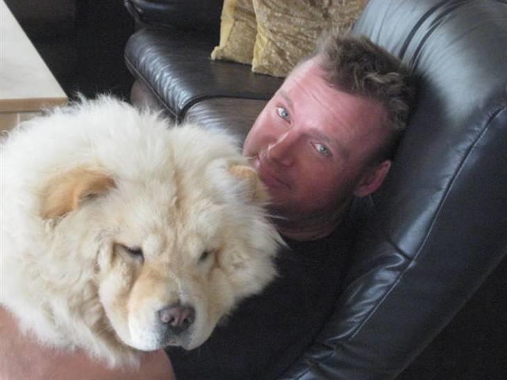 Chow chow Mille billede 12