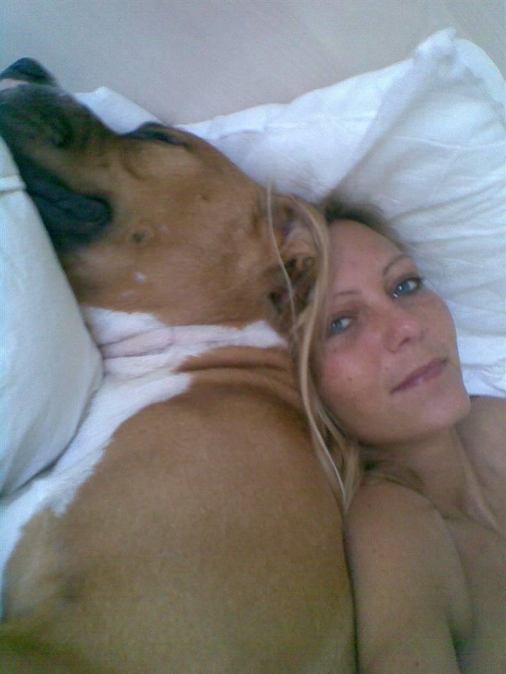 Blanding af racer Dollar billede 19