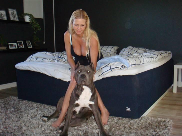 Amerikansk staffordshire terrier cosmo - mig og min søde mor billede 13