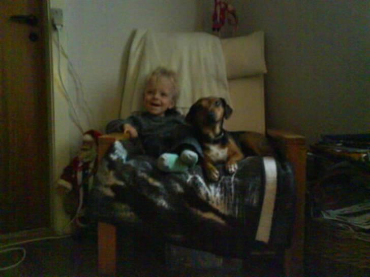 Blanding af racer Fie <3 - Nevøen og Fie, hvor er de søde (: billede 2