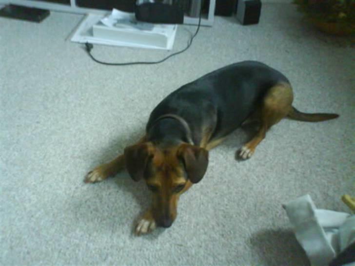 Blanding af racer Fie <3 - Leg nu med mig (: billede 4