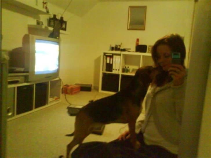 Blanding af racer Fie <3 - Jeg skal alrså li helt op i hovedet af dig, (: billede 7