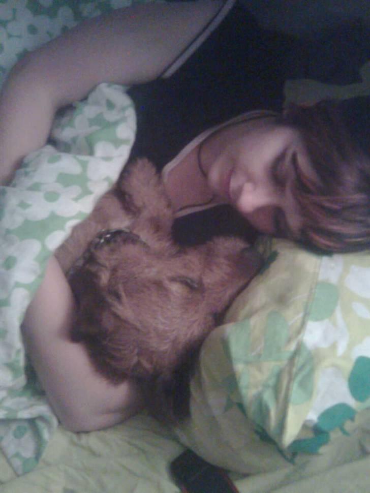 Blanding af racer Carlo billede 14