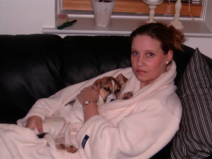 Dansk svensk gaardhund Cika R.I.P. - Råhygge ved mutti... billede 7