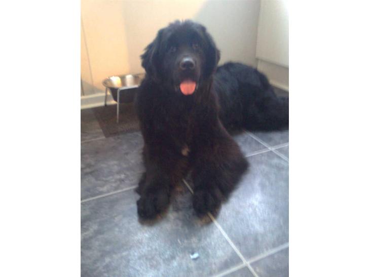 {{currentPhoto.altText}} billede {{currentPhoto.number}}