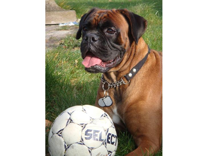 {{currentPhoto.altText}} billede {{currentPhoto.number}}