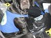 Labrador retriever Buzz (Himmel Hund)