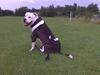 Blanding af racer Armani <3