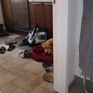 Blanding af racer Bertha