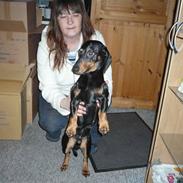 Gravhund Findus<3