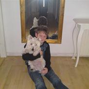 West highland white terrier futte