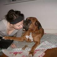 Boxer czantoz R.I.P ;(